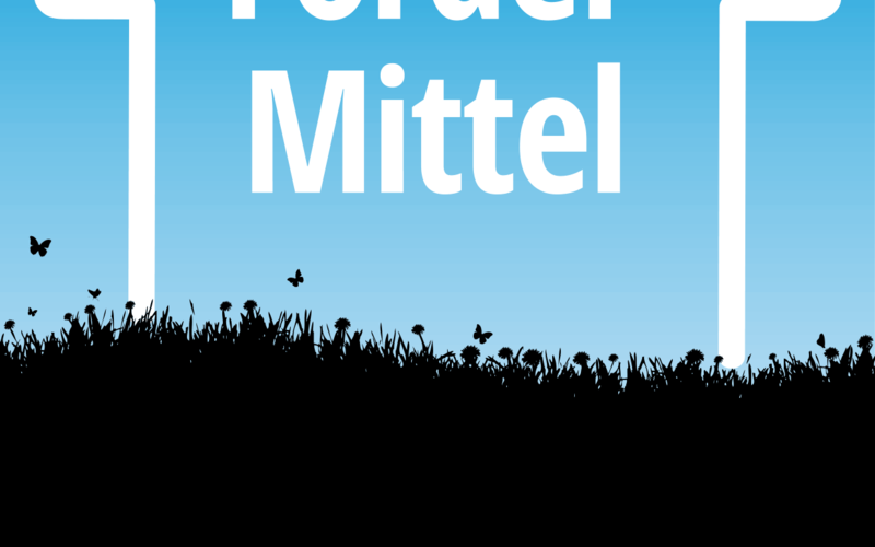 Aktuelle Förderungen – <br />bis zu 45 % Zuschuss für eine neue Heizung | Newsletter 26 / Frühling 2020 — Hinz - Fachbetrieb für Sanitär- und Heizungstechnik in Köln